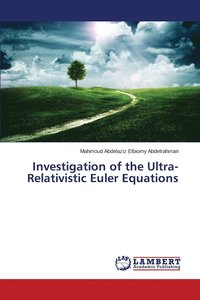 bokomslag Investigation of the Ultra-Relativistic Euler Equations