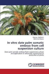 bokomslag In vitro date palm somatic embryo from cell suspension culture