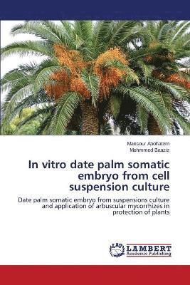 In vitro date palm somatic embryo from cell suspension culture 1
