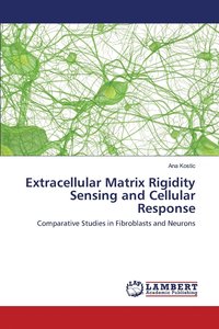 bokomslag Extracellular Matrix Rigidity Sensing and Cellular Response