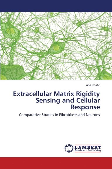 bokomslag Extracellular Matrix Rigidity Sensing and Cellular Response