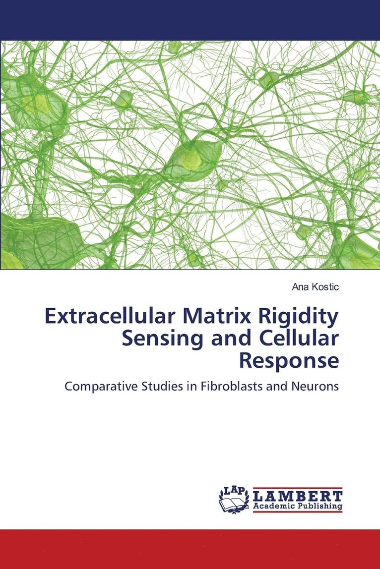 Extracellular Matrix Rigidity Sensing and Cellular Response 1