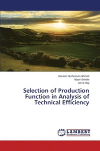 bokomslag Selection of Production Function in Analysis of Technical Efficiency