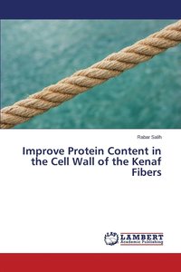 bokomslag Improve Protein Content in the Cell Wall of the Kenaf Fibers