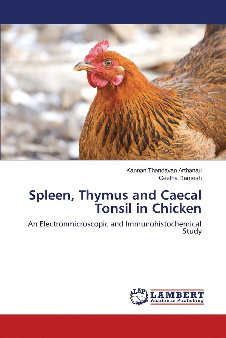 Spleen, Thymus and Caecal Tonsil in Chicken 1