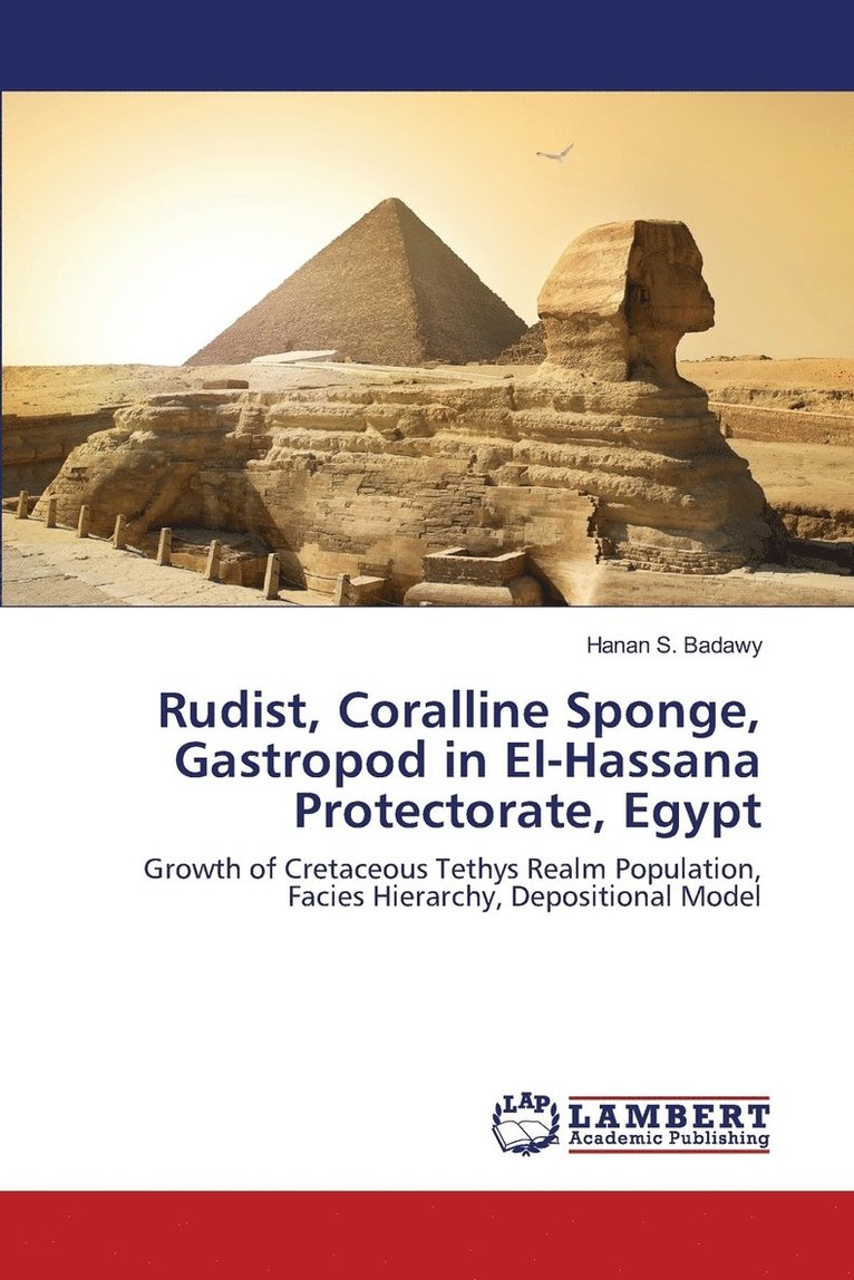 Rudist, Coralline Sponge, Gastropod in El-Hassana Protectorate, Egypt 1