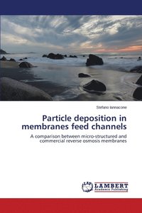 bokomslag Particle deposition in membranes feed channels