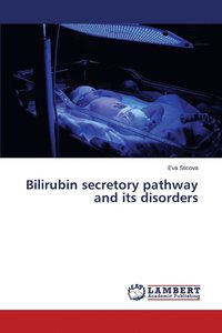 bokomslag Bilirubin secretory pathway and its disorders