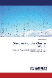 bokomslag Discovering the Cluster World
