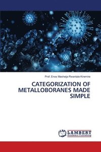 bokomslag Categorization of Metalloboranes Made Simple