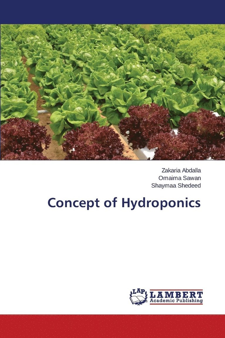 Concept of Hydroponics 1