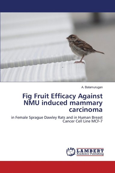 bokomslag Fig Fruit Efficacy Against NMU induced mammary carcinoma