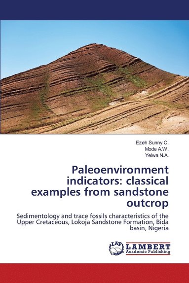 bokomslag Paleoenvironment indicators