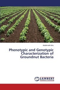 bokomslag Phenotypic and Genotypic Characterization of Groundnut Bacteria