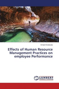 bokomslag Effects of Human Resource Management Practices on employee Performance