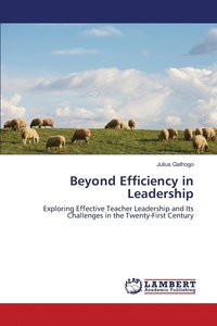 bokomslag Beyond Efficiency in Leadership