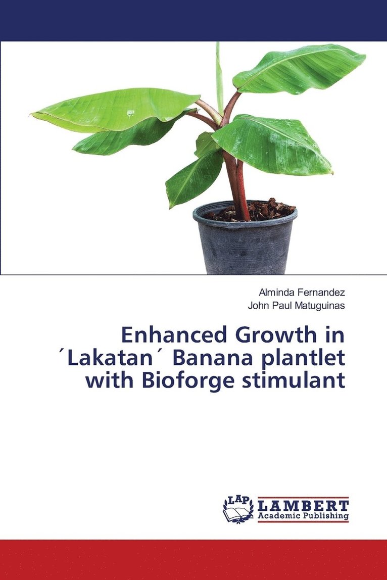 Enhanced Growth in Lakatan Banana plantlet with Bioforge stimulant 1