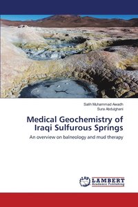 bokomslag Medical Geochemistry of Iraqi Sulfurous Springs
