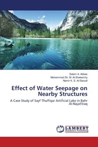 bokomslag Effect of Water Seepage on Nearby Structures