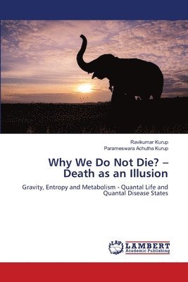 bokomslag Why We Do Not Die? - Death as an Illusion