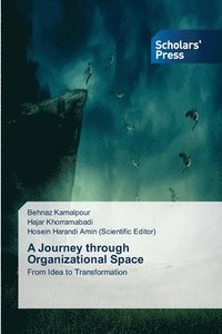 bokomslag Journey through Organizational Space