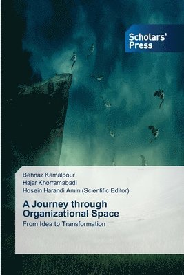 bokomslag Journey through Organizational Space