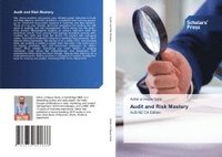 bokomslag Audit and Risk Mastery
