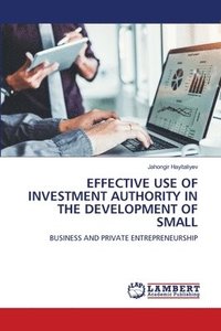 bokomslag Effective Use of Investment Authority in the Development of Small