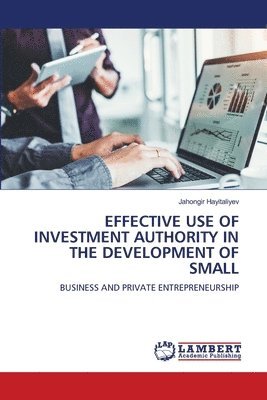 bokomslag Effective Use of Investment Authority in the Development of Small