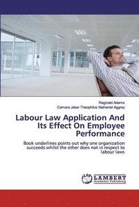 bokomslag Labour Law Application And Its Effect On Employee Performance