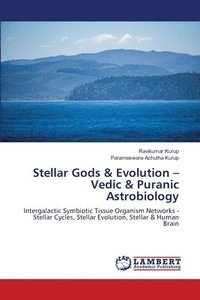 bokomslag Stellar Gods & Evolution - Vedic & Puranic Astrobiology