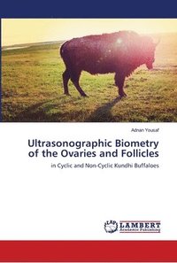 bokomslag Ultrasonographic Biometry of the Ovaries and Follicles