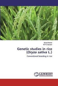 bokomslag Genetic studies in rice (Oryza sativa L.)