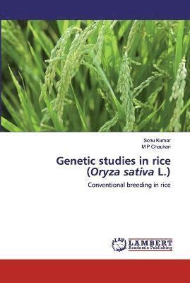 Genetic studies in rice (Oryza sativa L.) 1