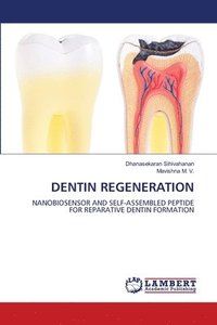 bokomslag Dentin Regeneration