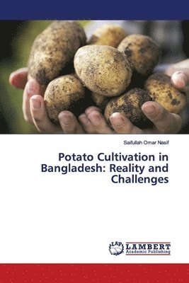 Potato Cultivation in Bangladesh 1