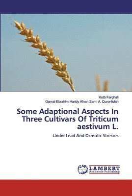 Some Adaptional Aspects In Three Cultivars Of Triticum aestivum L. 1