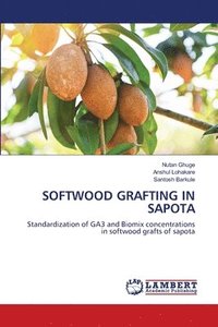 bokomslag Softwood Grafting in Sapota