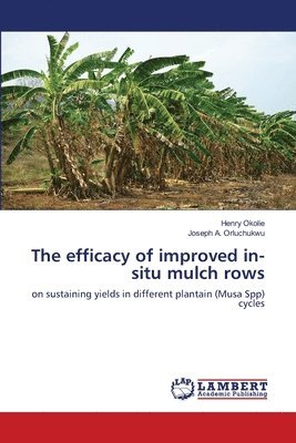 The efficacy of improved in-situ mulch rows 1