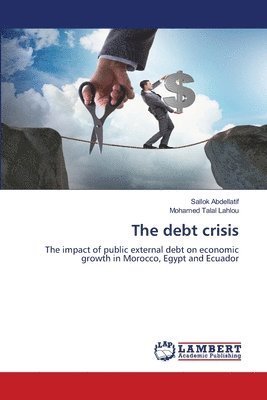 bokomslag The debt crisis