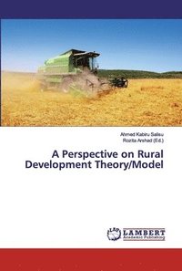 bokomslag A Perspective on Rural Development Theory/Model