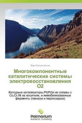 Mnogokomponentnye kataliticheskie sistemy elektrovosstanovleniya O2 1