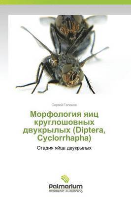 Morfologiya Yaits Krugloshovnykh Dvukrylykh (Diptera, Cyclorrhapha) 1