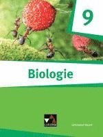 bokomslag Biologie - Bayern 9 Biologie für Gymnasien Schülerbuch