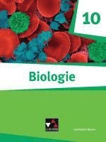 bokomslag Biologie -  Bayern 10 Biologie für Gymnasien Schülerbuch