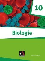 bokomslag Biologie -  Bayern 10 Biologie für Gymnasien Schülerbuch