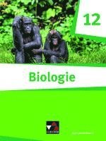 bokomslag Biologie Bayern 12