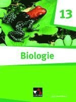 bokomslag Biologie Bayern 13