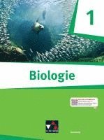 Biologie Hamburg 1 1