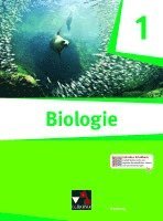 Biologie Hamburg 1 1